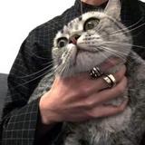 _十味931头像