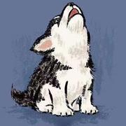 星儒的个人资料头像