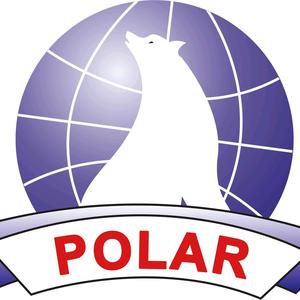 POLAR法拉达散热器头像