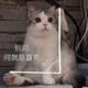 时光67943头像