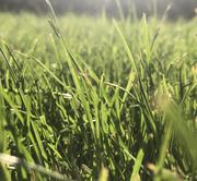 leannahui的个人资料头像