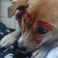 种地买不起楼头像