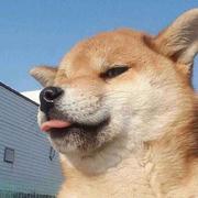 用户7096510099362的个人资料头像