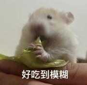 迟糖糖的个人资料头像