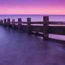 醉梦残飏的个人资料头像