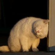 人生几个球的个人资料头像