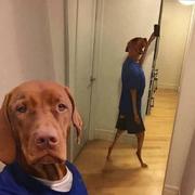 失败的man的个人资料头像