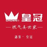 勇敢的风筝CjL头像