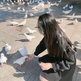 用户8659785385281头像