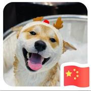 精通XXX工程师的个人资料头像