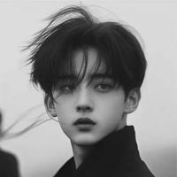 高冷书签s9Z头像