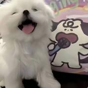 用户214390274365的个人资料头像