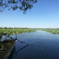 沧海一笑34900563头像