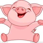 乾01的个人资料头像