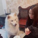 总觉得饿的家伙头像