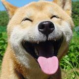 有一点点小脆头像