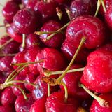 成都沃尔沃4S中心头像