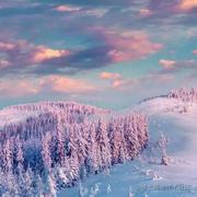 昊天本尊的个人资料头像