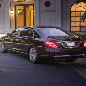 今天种点草头像