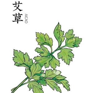 本草看剧头像