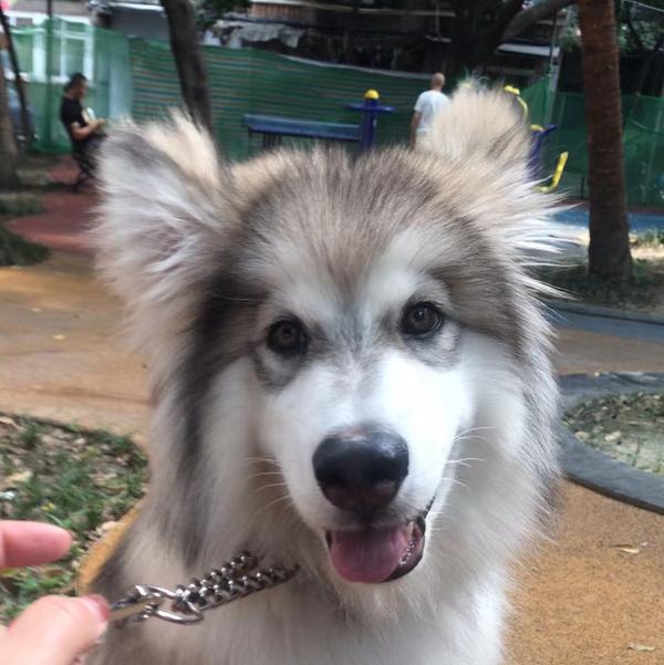 禅中说缠007头像