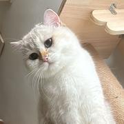 alltick的个人资料头像