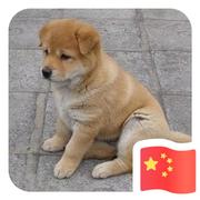 阿聪1990的个人资料头像