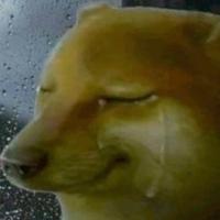 黄业正885头像