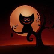 gilorgo的个人资料头像