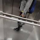 N的个人资料头像