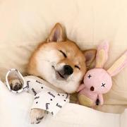 DSJ的个人资料头像