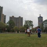 向阳而生98506头像
