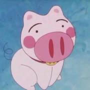 晴天小阿紫的个人资料头像