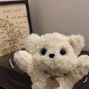 大脸猫920的个人资料头像