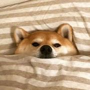 Mr_Leeo的个人资料头像