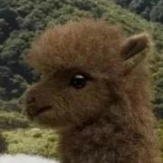 Maestro166的个人资料头像