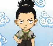 ZikeX的个人资料头像