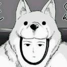 null爱学习46911的个人资料头像