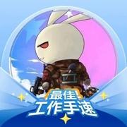 算法织梦师的个人资料头像