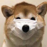 混乱panda的个人资料头像