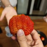 167956367头像