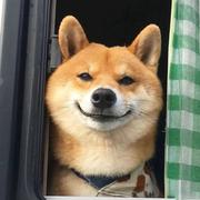 用户1223071302953790的个人资料头像