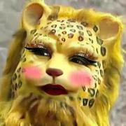 Danny509的个人资料头像