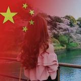 看我七2变头像