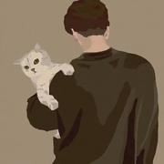 夜雨467的个人资料头像