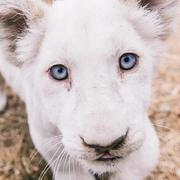 eatureide的个人资料头像