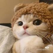 MrSkye的个人资料头像