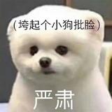 娴熟的p车头像