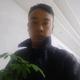我行我素头像