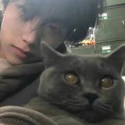 追梦大厂人的个人资料头像